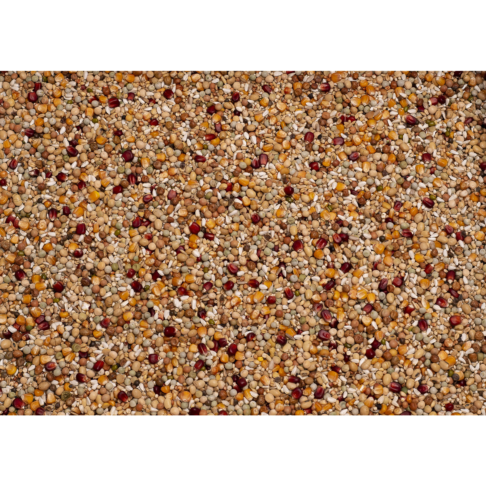 Beyers Beyers Galaxy kweek 20kg