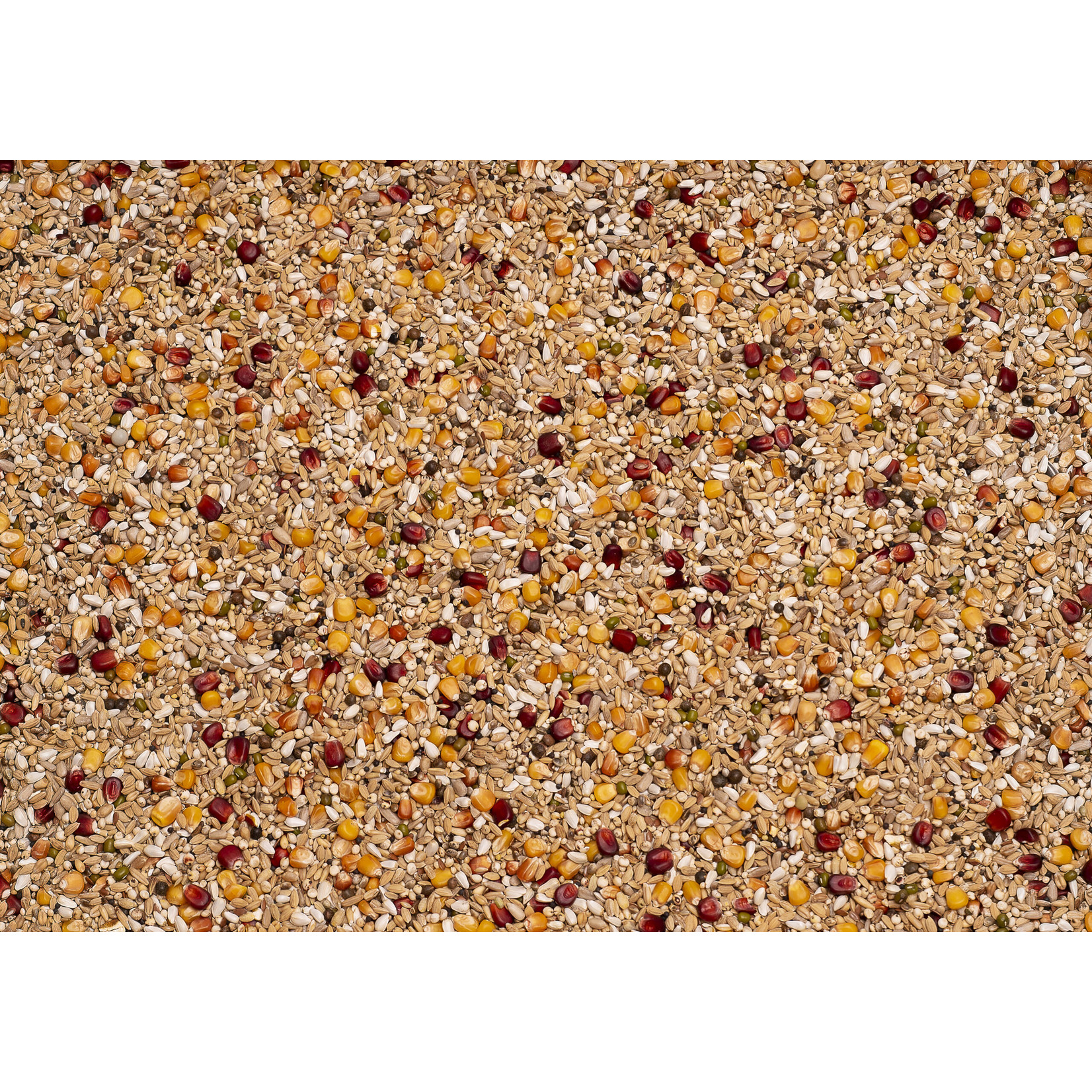 Beyers Beyers Galaxy sport light 20kg