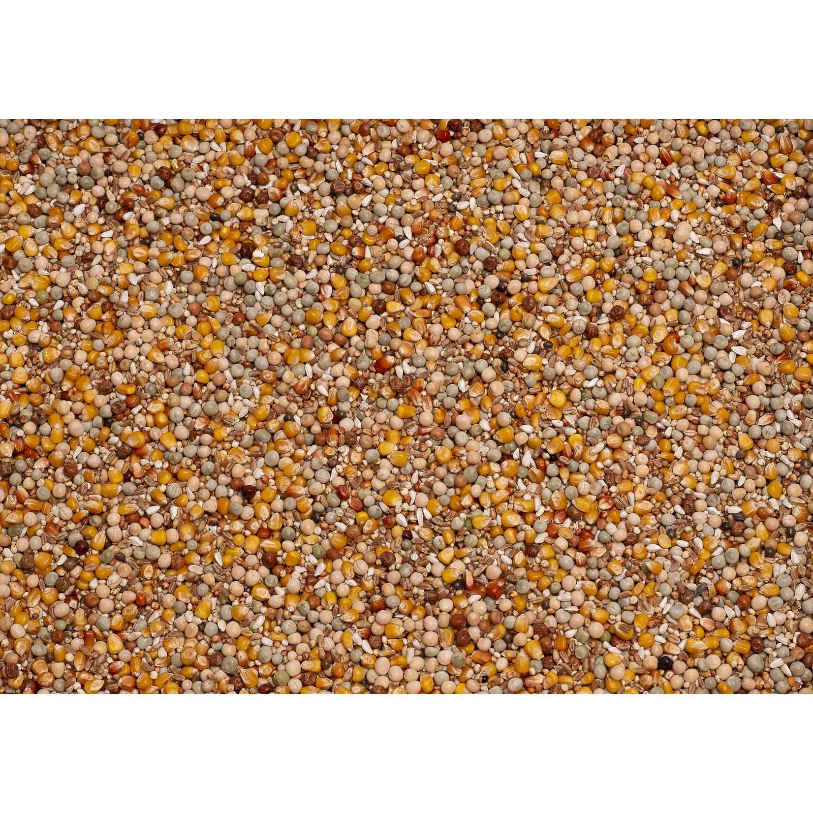 Beyers Beyers Original kweek 25kg