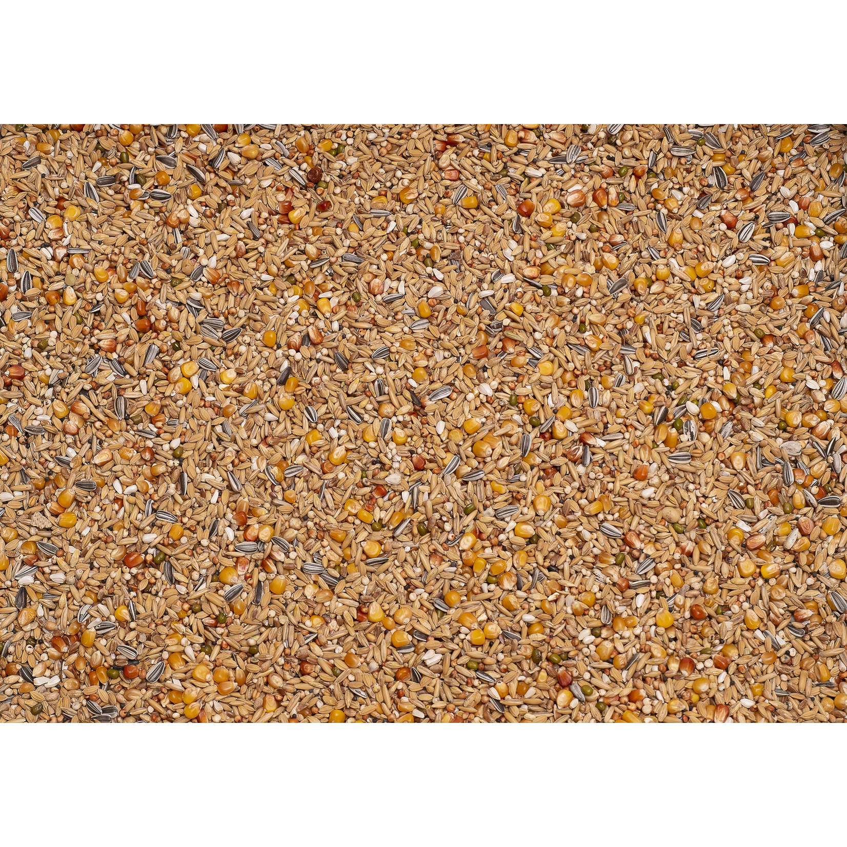 Beyers Beyers Original rust/winter 25kg