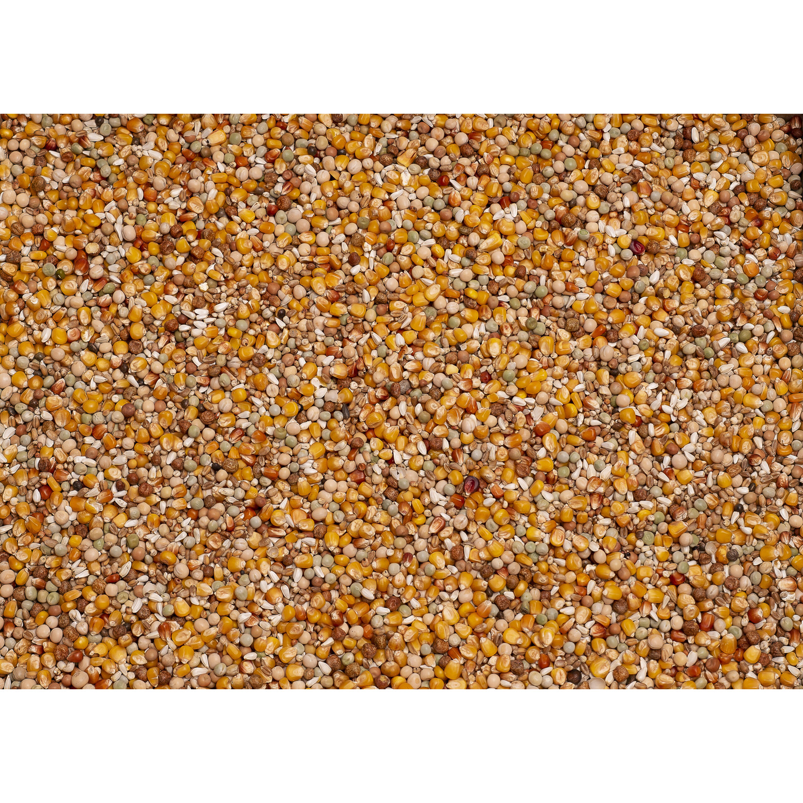 Beyers Beyers Original sport 25kg
