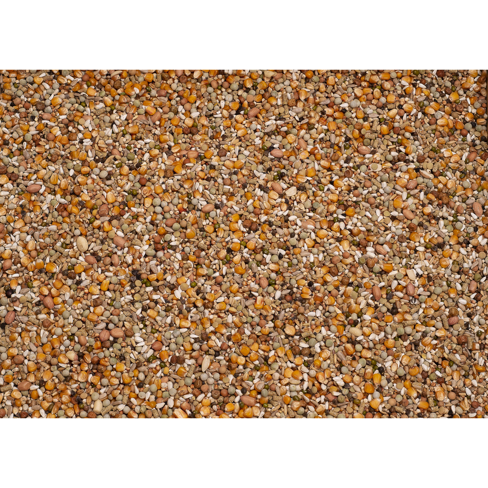 Beyers Beyers Premium koopman all-in-one 20kg