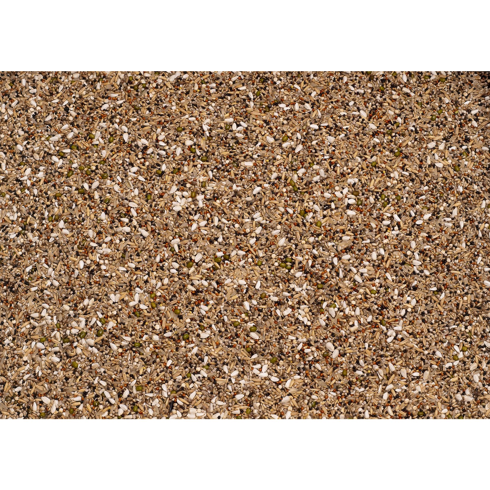 Beyers Beyers Premium snoepzaad exclusief 20kg