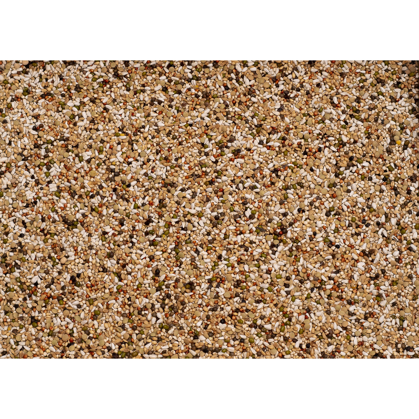 Beyers Beyers Premium wal zoontjens yellow 25kg