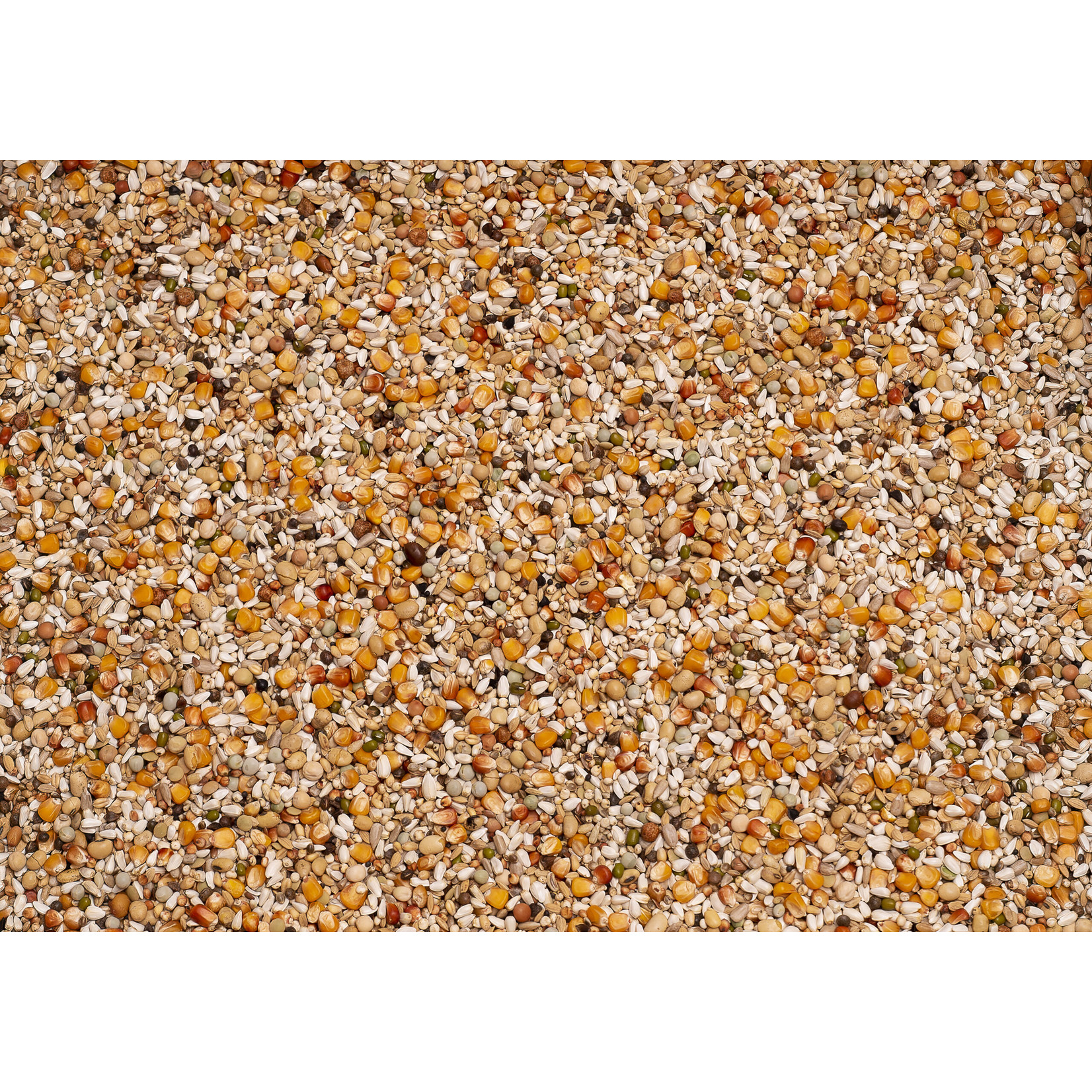 Beyers Beyers Premium youngsters 20kg