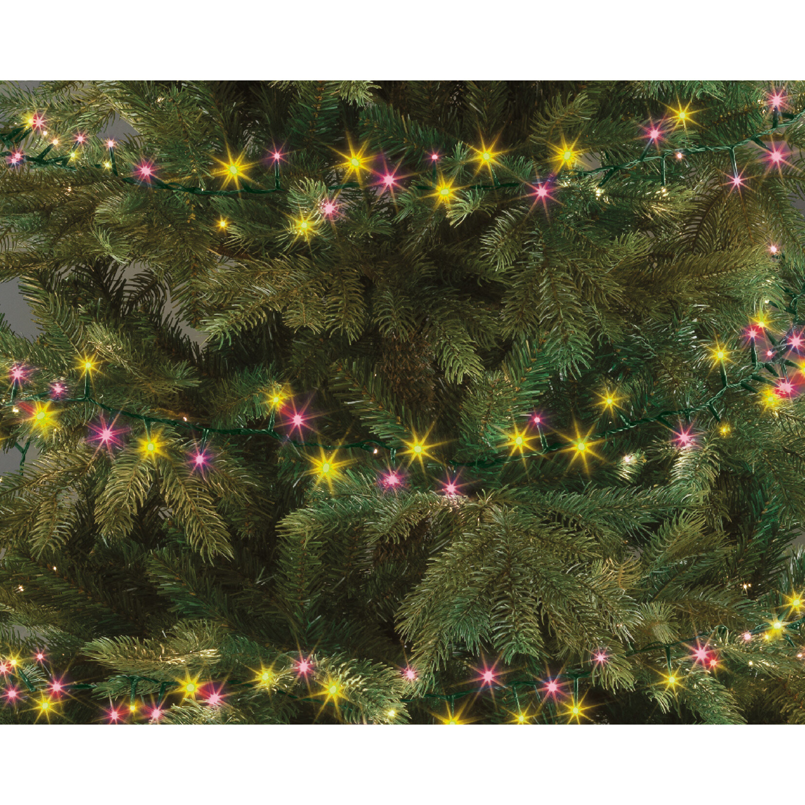kaemingk LED compact lights buiten