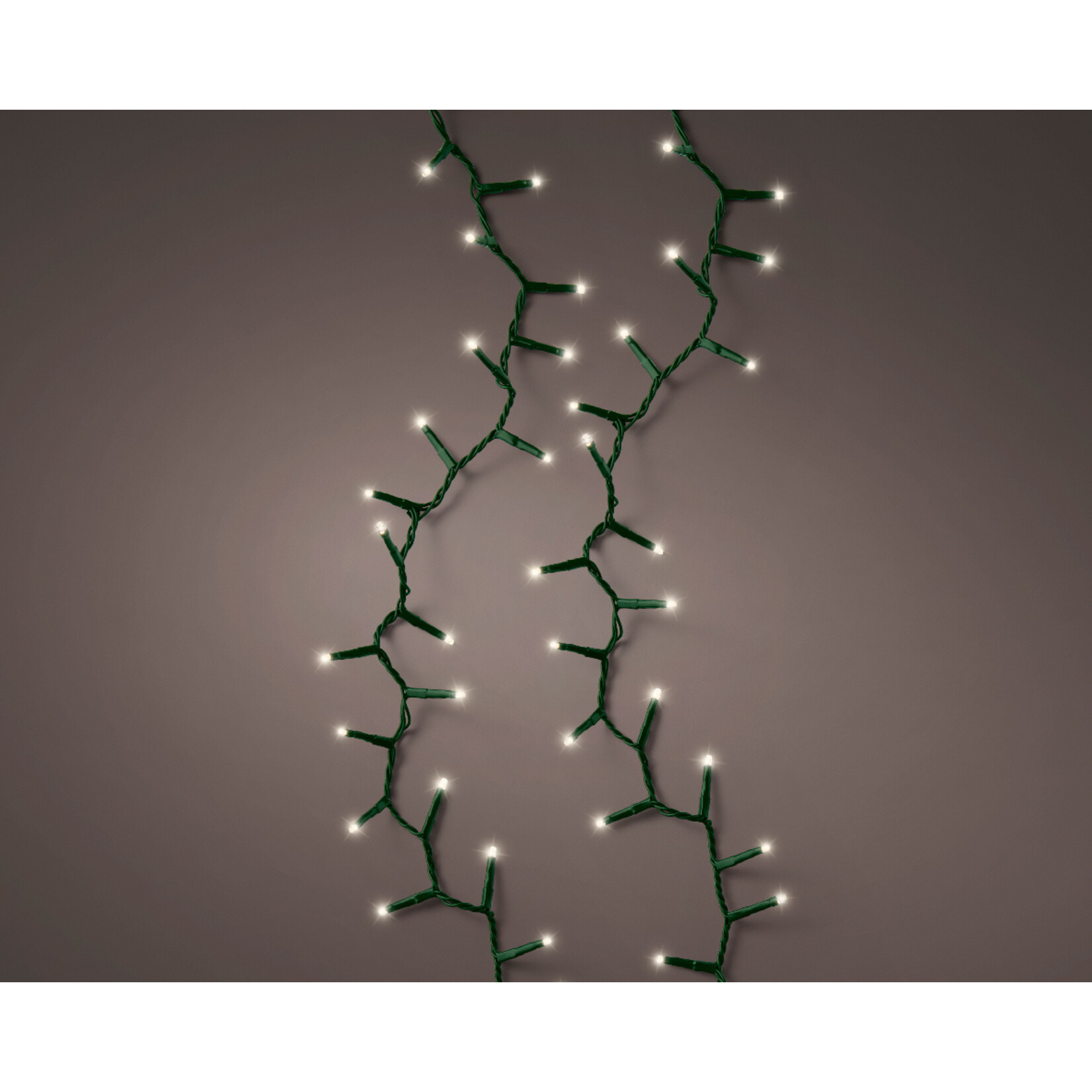 kaemingk LED compact lights