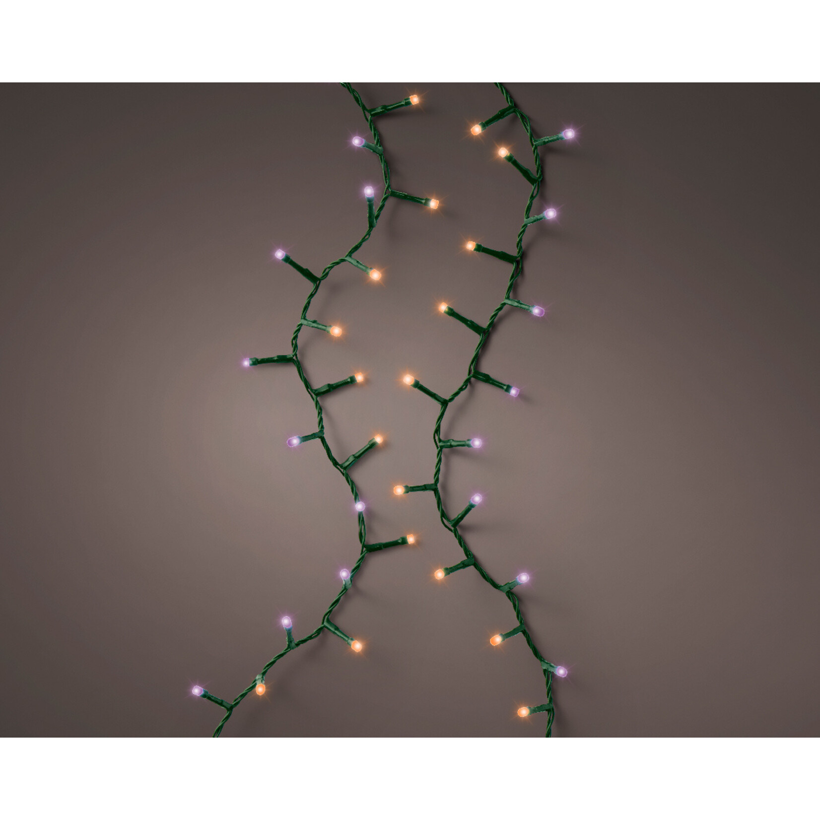 kaemingk LED compact lights