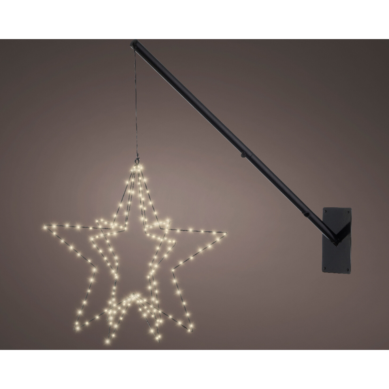 kaemingk Micro LED ster buiten