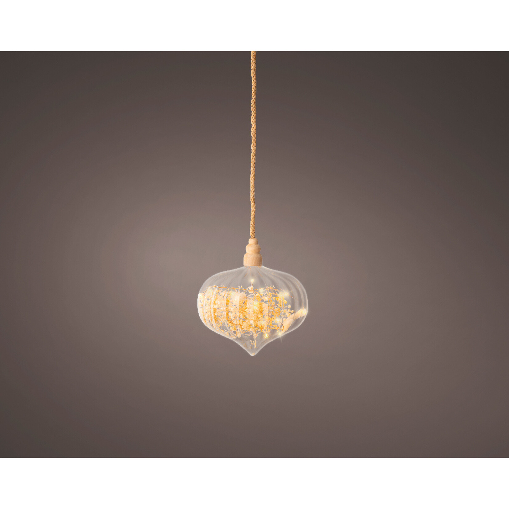 kaemingk Micro LED ui binnen