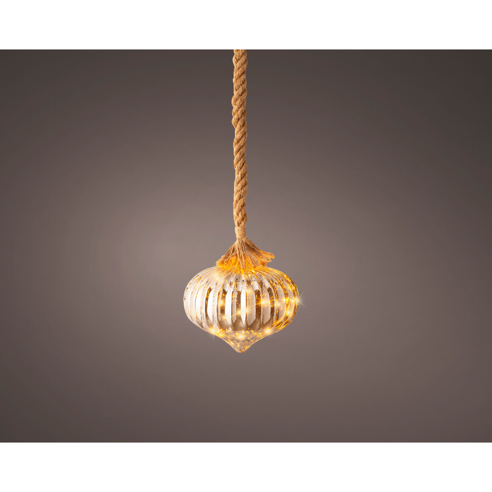 kaemingk Micro LED ui binnen