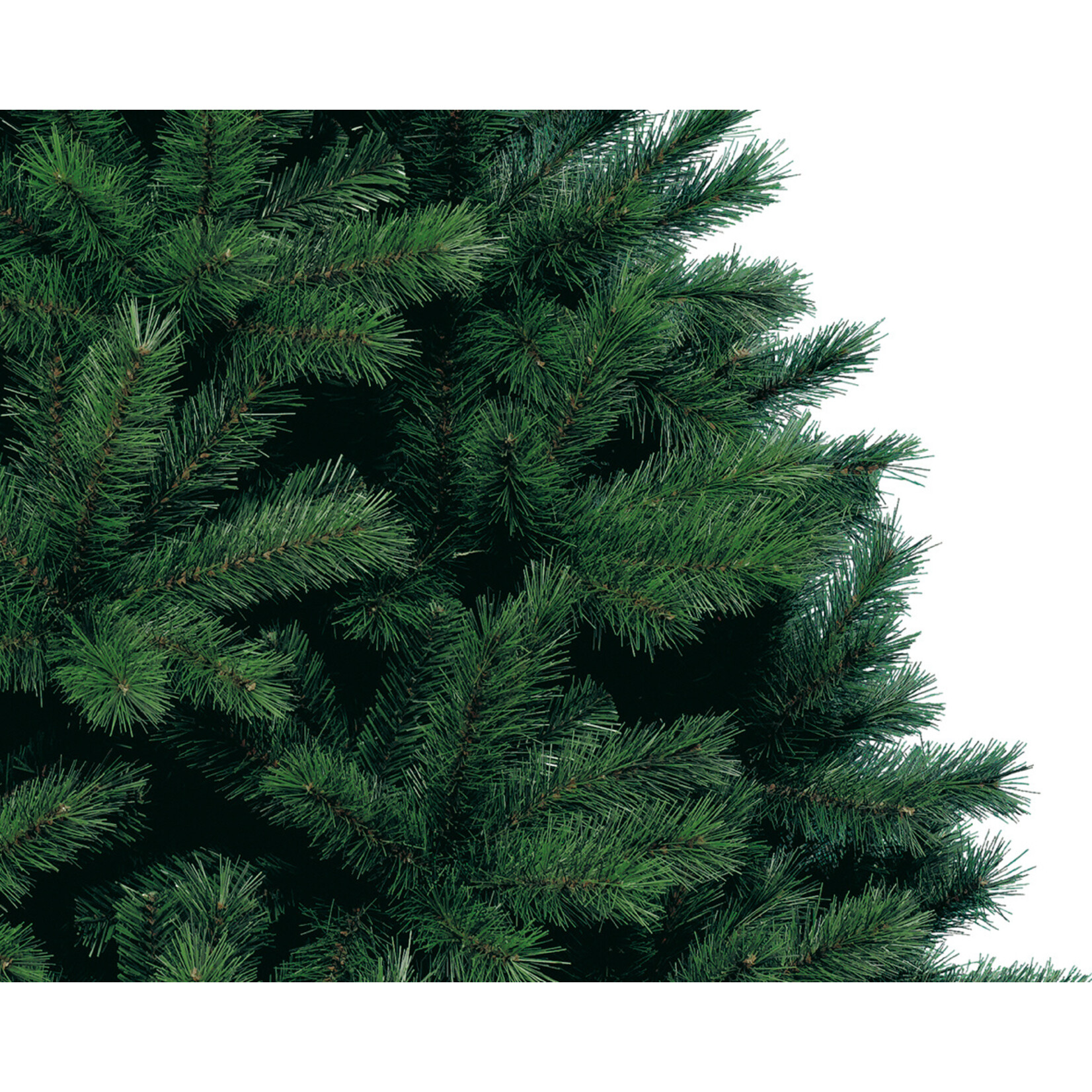 kaemingk Canada spruce