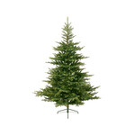 kaemingk Grandis fir