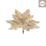 edelman Clip poinsettia champagne - h5xd22cm