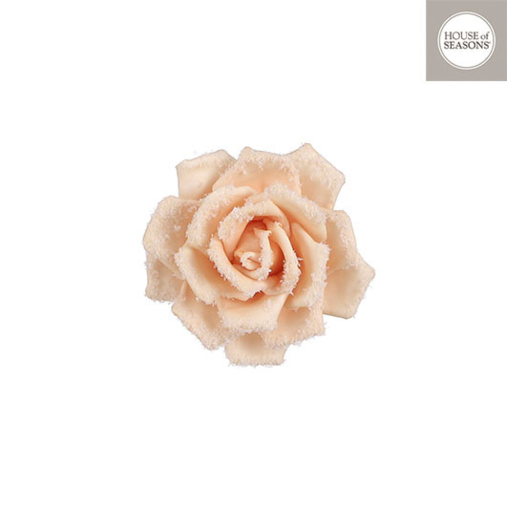 edelman Clip roos beige frosted - h7xd14cm