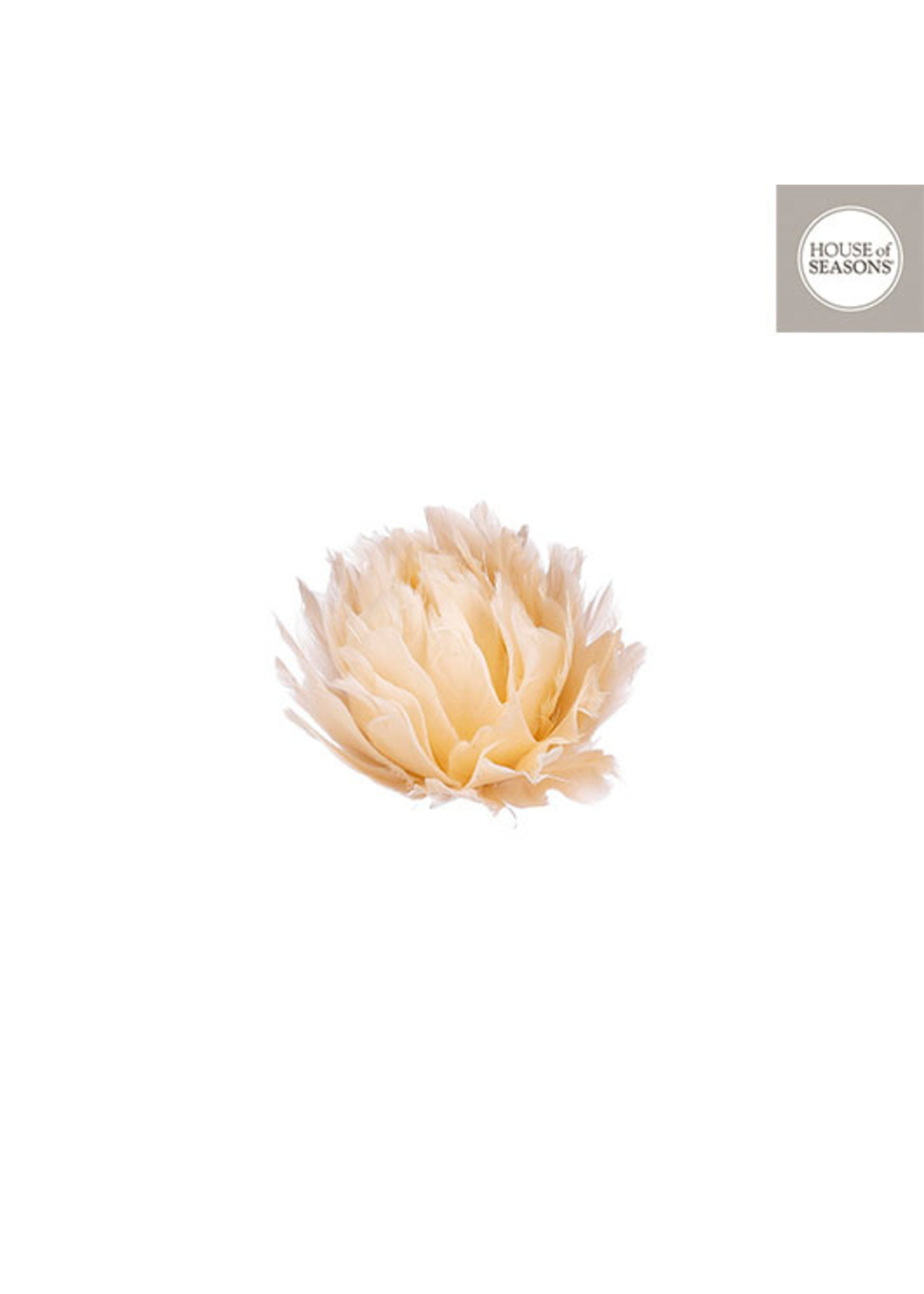 edelman Clip bloem off white - h8xd12cm