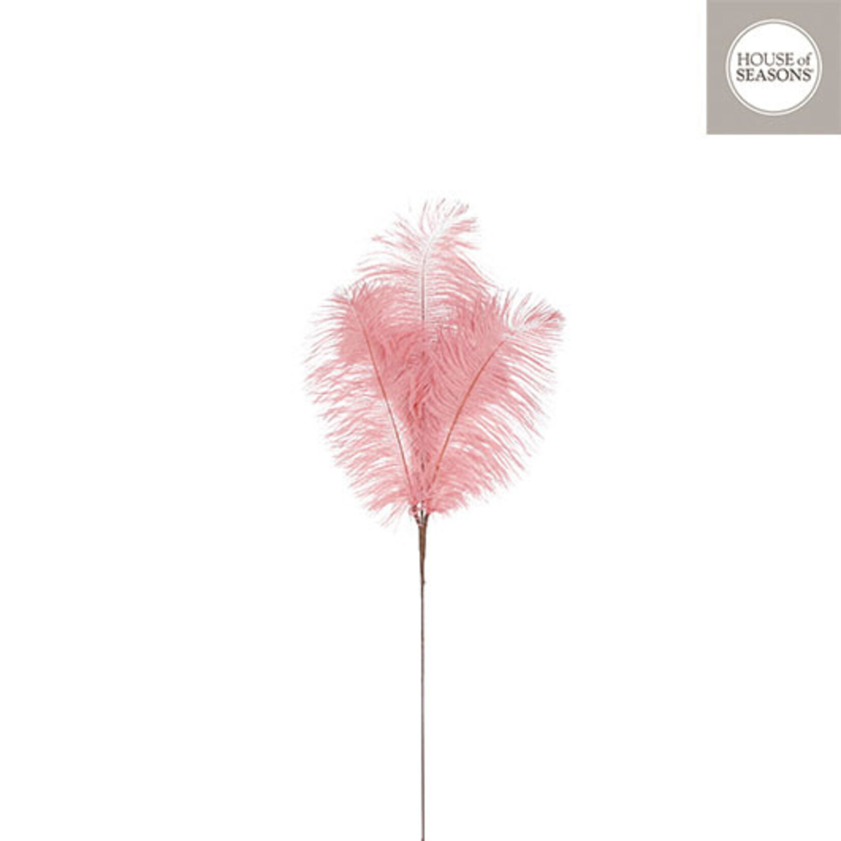 edelman Bijsteker veren l.roze - l61xb20cm