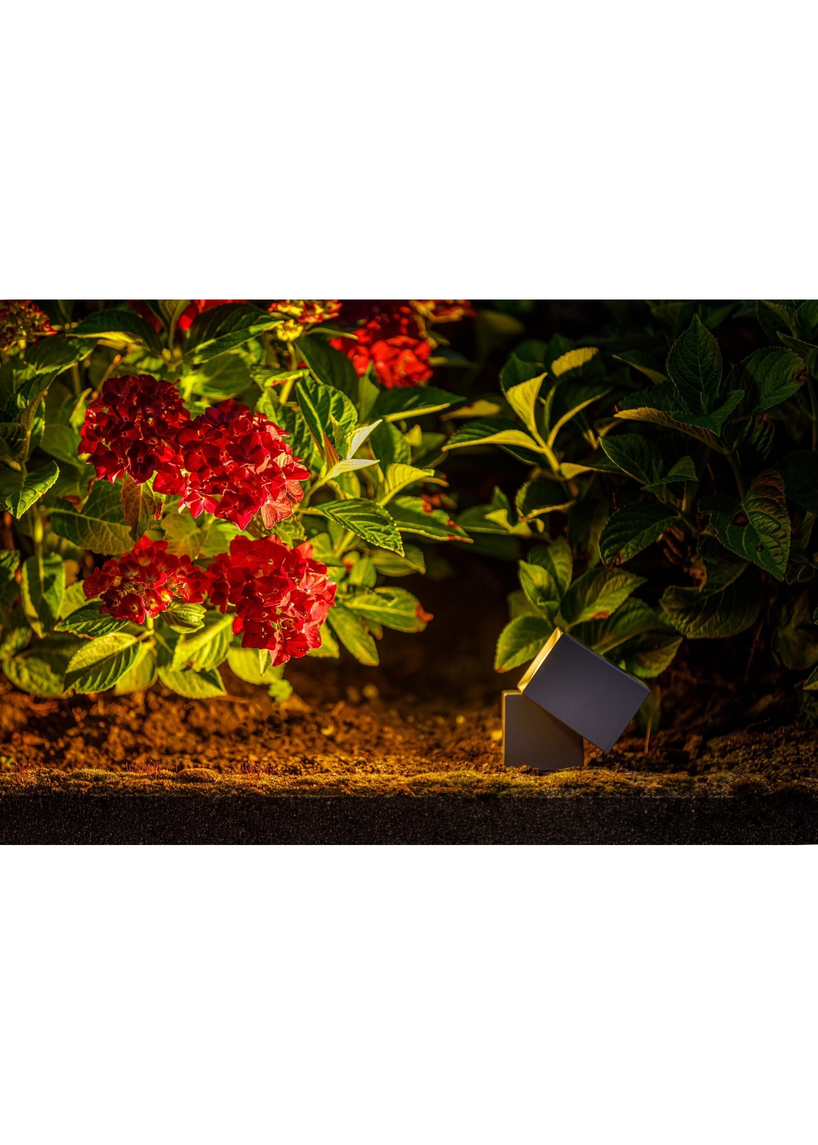 Garden Lights Garden Lights Nano