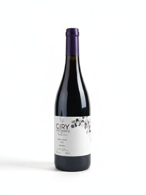 Domaine Ciry Cattaneo Domaine Ciry Cattaneo "Sang Neuf" 2021