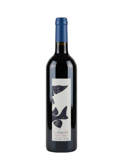 Ampelidae Marigny-Neuf "Pinot Noir"