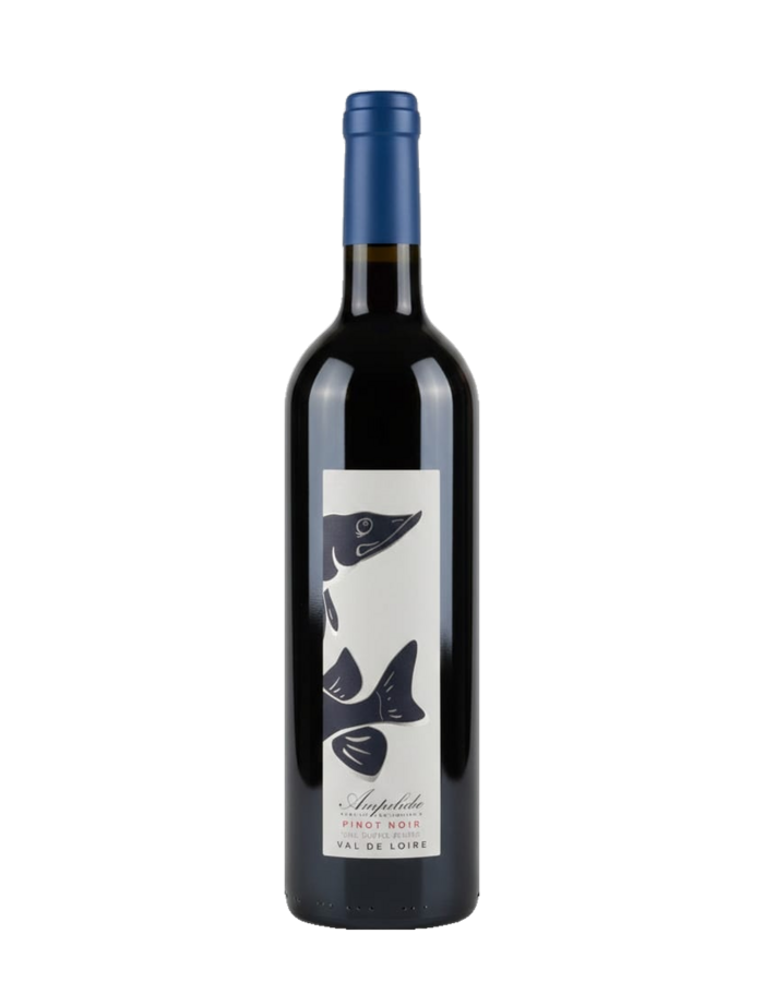 Ampelidae Marigny-Neuf Pinot Noir