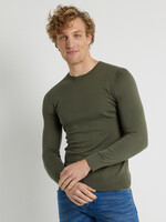 Comodo Shirts Thyme green round neck sweater