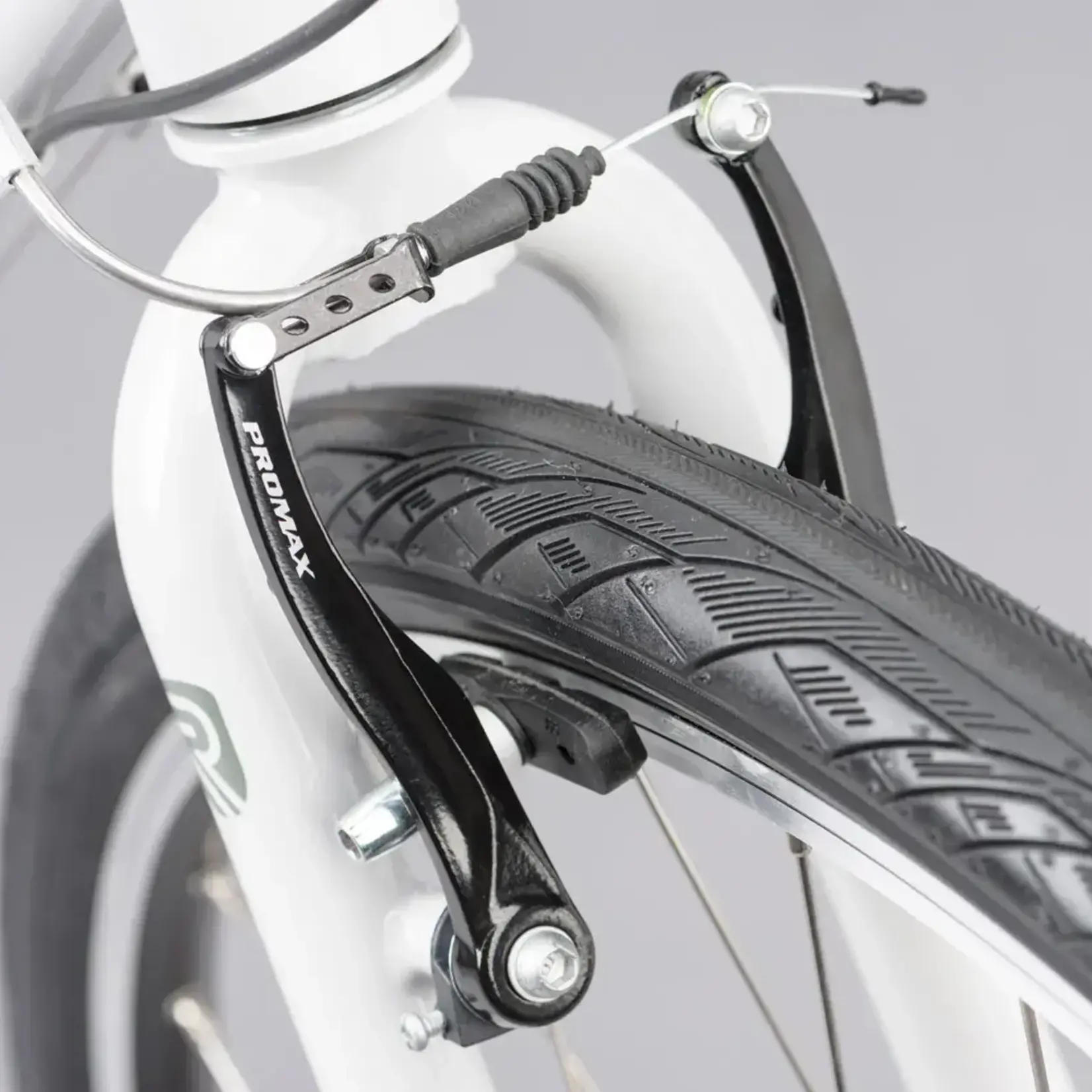 Ridgeback Motion Open Frame