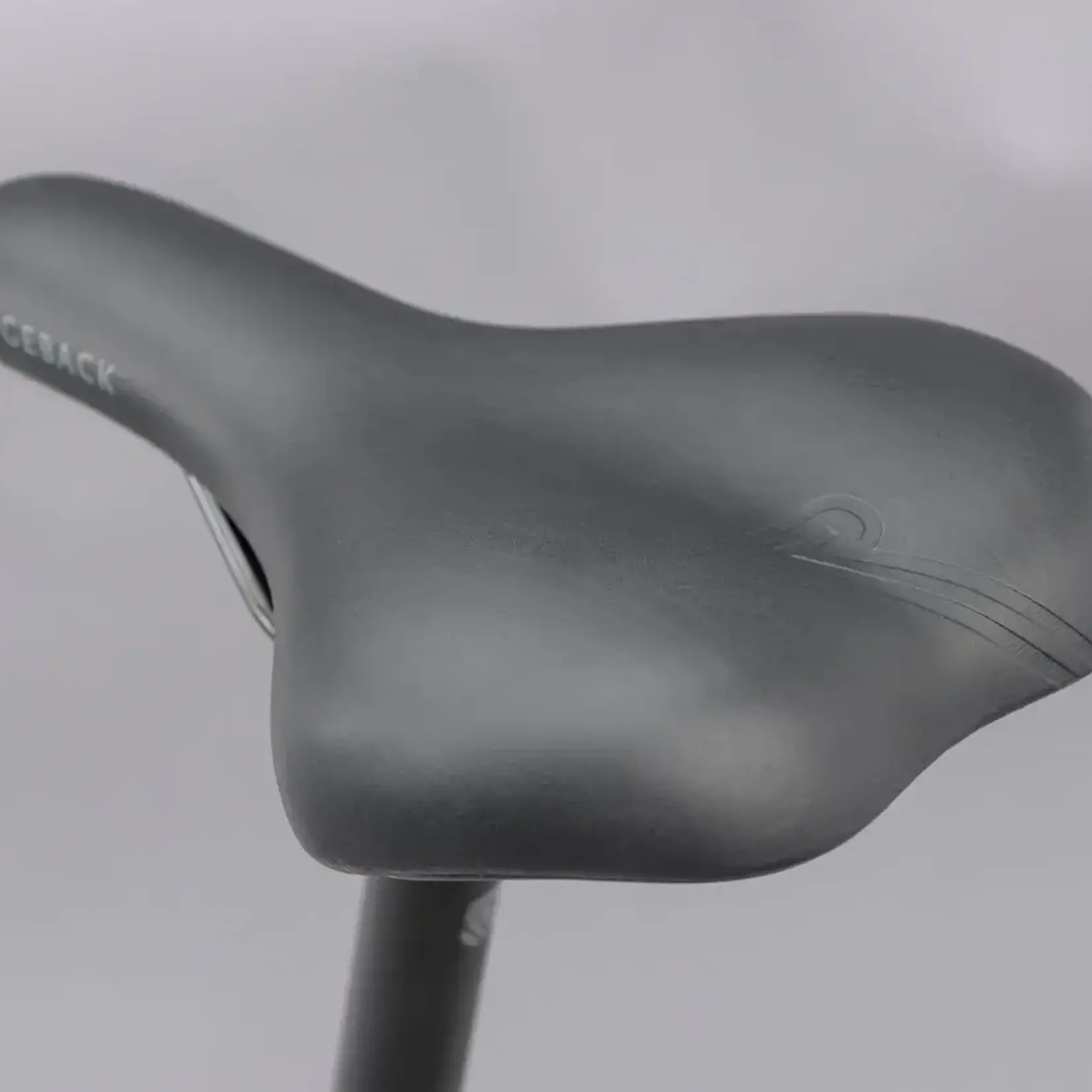 Ridgeback Motion Open Frame