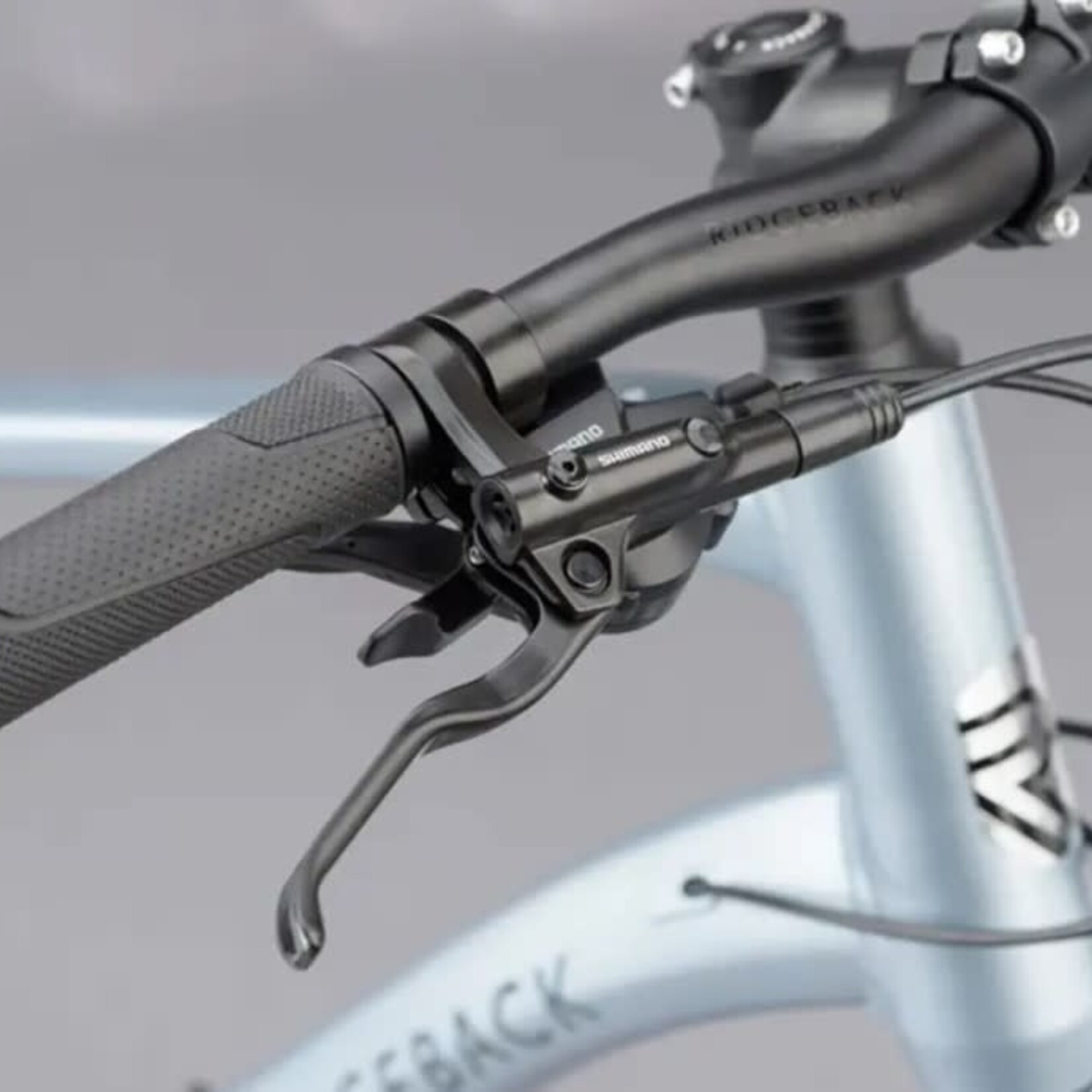 Ridgeback Vanteo XL Light Blue