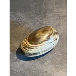 Polychroom / bruine jaspis ronde handgeslepen steen ±350 g - uniek exemplaar