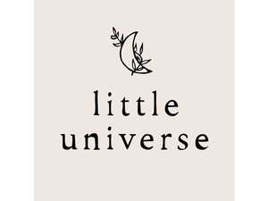 Little Universe