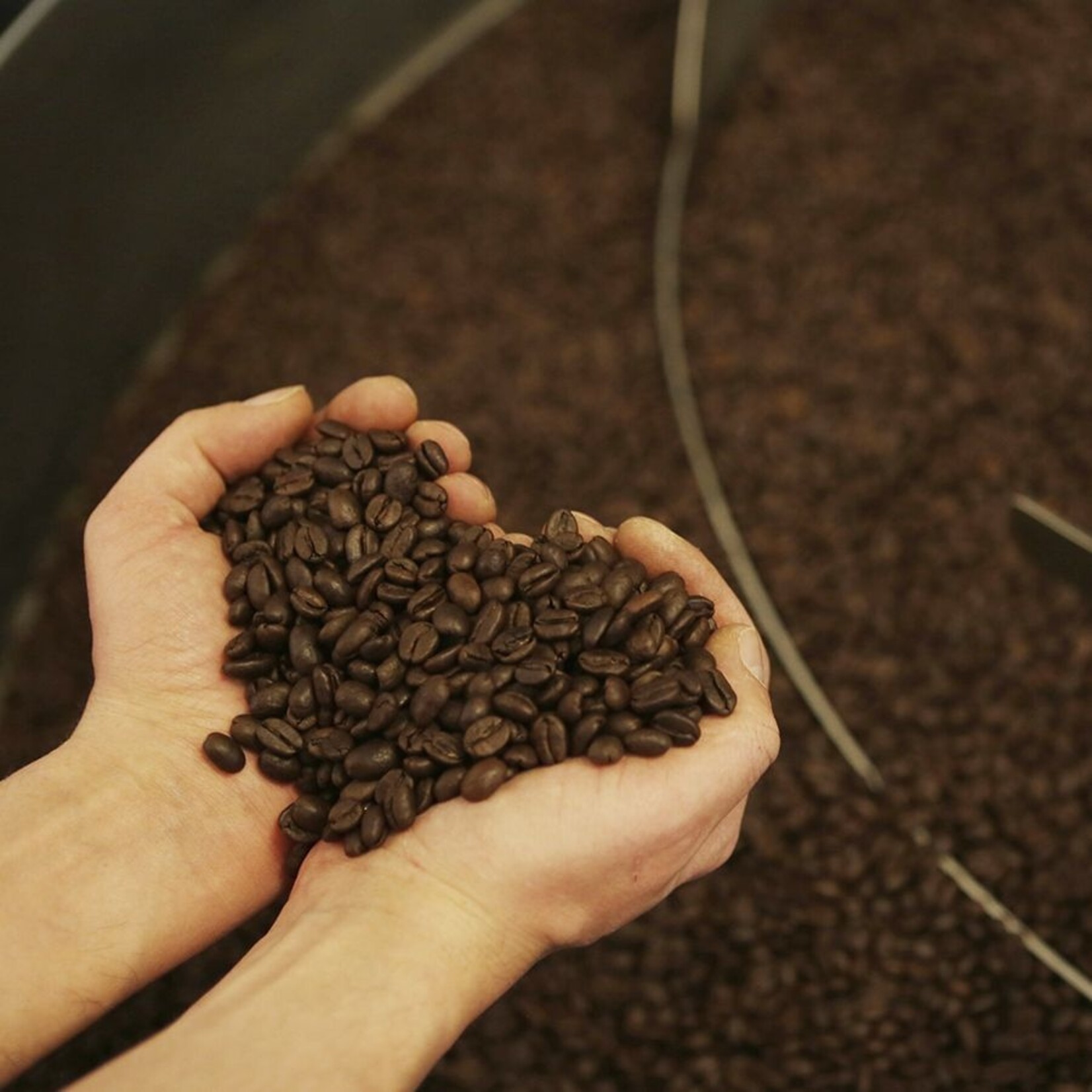 Boot Koffie Boot bio blend organic espresso - 250 gram