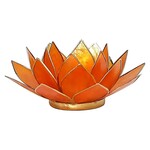 Lotus sfeerlicht oranje 2e chakra goudrand -- 13.5 cm