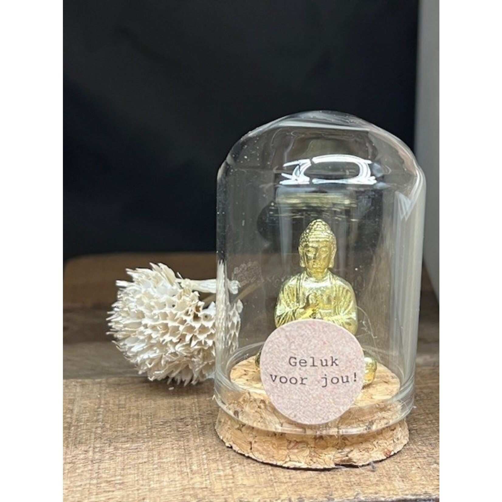 Sidedish Metalen Boeddha in glazen stolp | Geluk voor jou