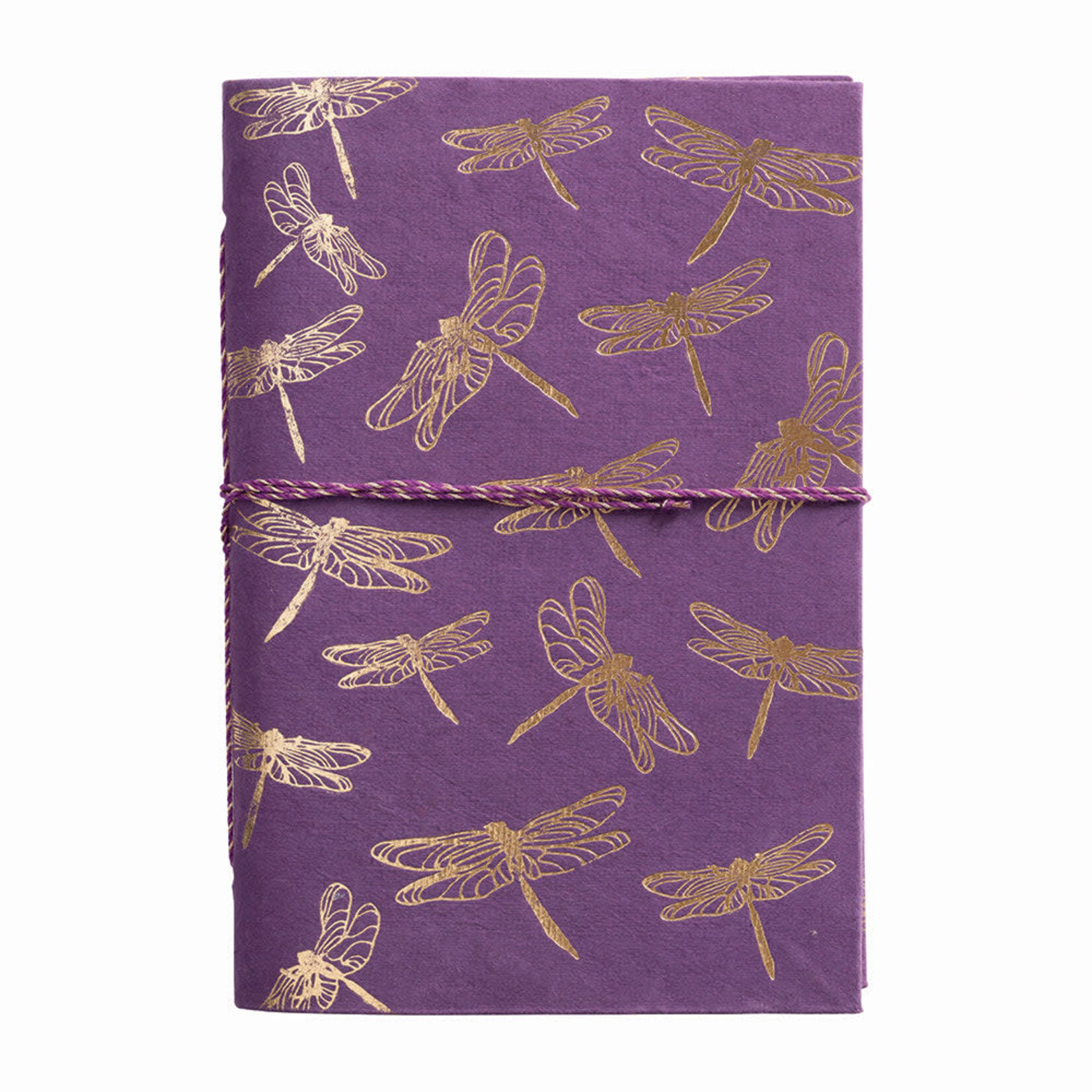A Beautiful Story Notebook Dragonfly