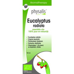 Physalis Physalis Eucalyptus Radiata