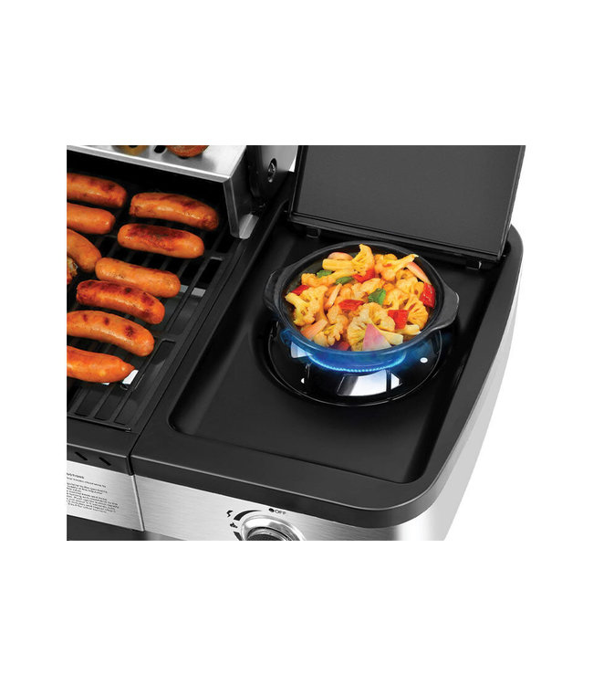 Gasbarbecue Burlington 4.1