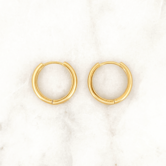 Fine Hoop Set