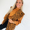 Teddy Panter Gilet | Brown Teddy Panter Gilet | Brown