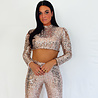 Glitter Set | Gold Glitter Set | Gold