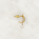 Earstud Shiny Circle Firework Earstud Shiny Circle Firework