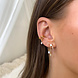 Earstud Shiny Circle Firework Earstud Shiny Circle Firework