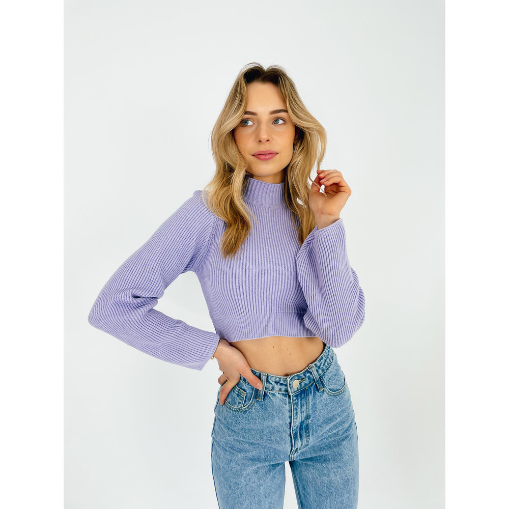 Lila Crop Sweater | Crop Trui | Winkeltje van Lynn - Winkeltje van Lynn