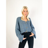 Milou Vest | Blauw
