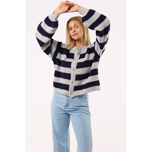 Sarah Gestreept Vest | Navy/Grijs