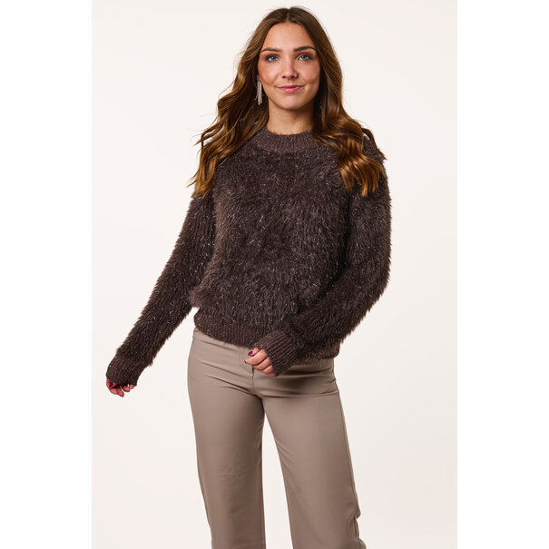 Mara trui met glitters | Bruin