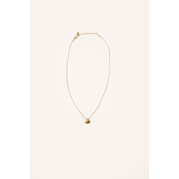 Ketting kleine schelp | Goud