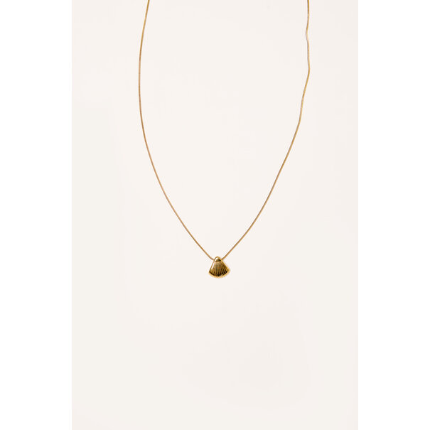 Ketting kleine schelp | Goud