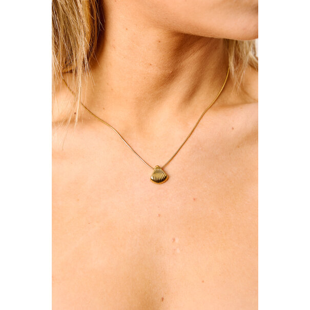 Ketting kleine schelp | Goud
