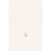 Ketting zeester | Goud